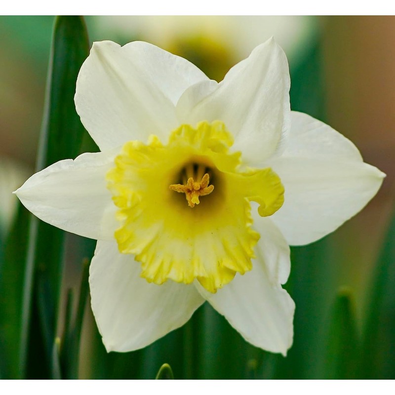 KAYALI Mini Vanilla Perfume Duo Set 2 X 5 ml