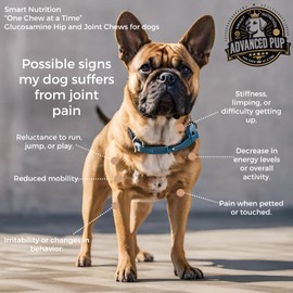 Advanced PUP Glucosamine Chondroitin for Dogs - Hip and Joint Supplement for Dogs - Dog Hip & Joint Care with MSM, Turmeric for Dog Joints – Pure Dog Joint Supplement - Joint Health Care for Dogs -90