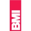 BMI 661030 Spirit Level 30 cm of Hardwood, Brown