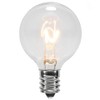 25 Pack Clear G40 Globe Light Bulbs for Patio String