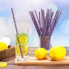 25 Pcs Reusable Leopard Straws with Cleaning Brushes, Purple