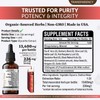 Para Dida Detox Wormwood + Black Walnut Hull Herbal Liquid