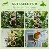 2 PCS Reptile Climbing Loops, Snake Climbing Rings, Snake Tank