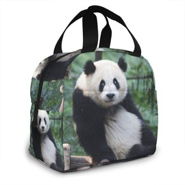 Cute Panda Shanshan Portable Insulated Lunch Bag Thermal Insulated Lunch Bag Eco Bag Large Capacity Food Storage for Work or School Travel Office Picnic Picnic Excursion Unisex Handbags
