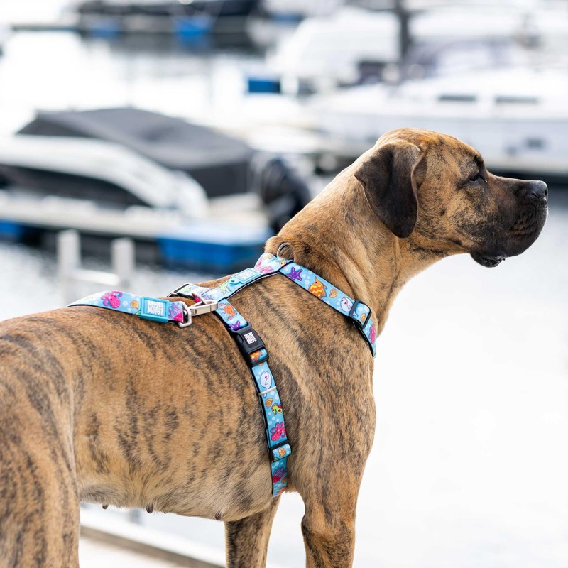 Max & Molly H-Harness – Blue Ocean, XS.