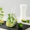 Basic Nature 8.3 Inch Compostable Straws, 100 Disposable Straws -