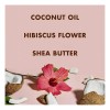 Shampoo Para Rizos Con Coco-hibisco Sheamoisture 384ml