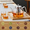 DOPUDO 1200ml Glass Teapot with Removable Infuser, Stovetop Safe Tea
