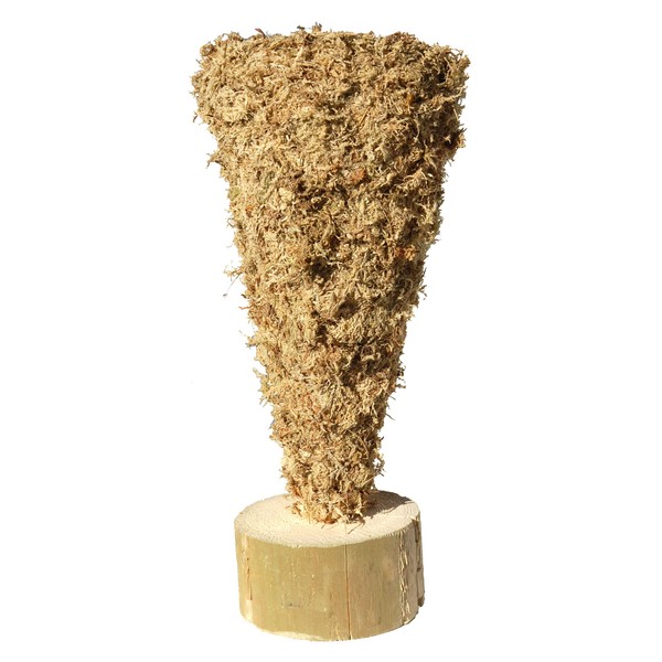 Upside Down Christmas Tree Cone Sphagnum Moss Topiary Form -