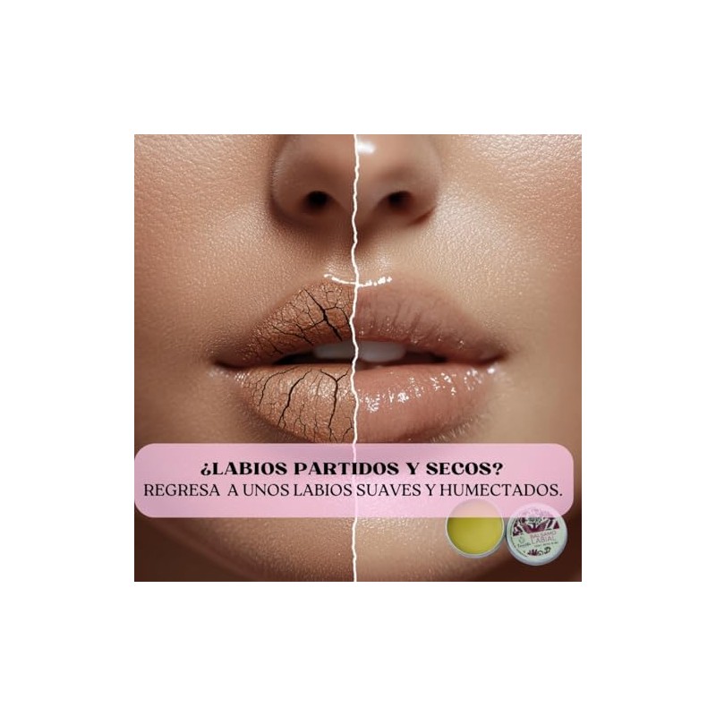 Balsamo labios Lip oil Hidratante de labios Protege y repara