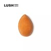Lushpermis 러쉬퍼미스 파워 65g - 풋 솝 Lush Perm Plus 65g - Foot Soap