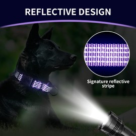 LUCKYDC Martingale Collar for Training Dogs. Adjustable Reflective Dog Collars with Buckle- Prevents Slipping Out, for Medium Large XL Dogs. Helps with Strong pullers(S, Purple)