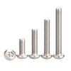 Dreneco Anti-Theft Screws 304 Stainless Steel Screws Torx Round Head