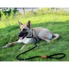 Dog Leads Durable Dog Rope Durable Weight Braided Jacket Making