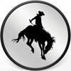 Rodeo Cowboy Riding Bucking Bronco Horse Black Vinyl Decal Sticker