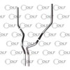 Colt Exhaust | Stainless Steel Universal Mandrel Dual Pipes Compatible