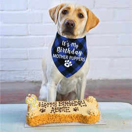 STMK Dog Birthday Bandana, It' s My Birthday Mother Puppers Multi Sizes Dog Birthday Boy Bandana for Small Medium Large Dogs Cats Pets (Blue, Large)