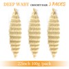 Ainimiu Ocean Wave Crochet Hair 22 Inch 3 Packs Deep