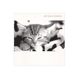 Christmas Card for Cat Lover | Black and White Photo of Sleepy Kitten | From Friend Family Member or From The Cat