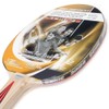 DONIC Top Team 300 Table Tennis Bat