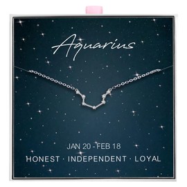 ALoveSoul 925 Sterling Silver Constellation Horoscope Zodiac Aquarius Necklace, Gift for Women Girls