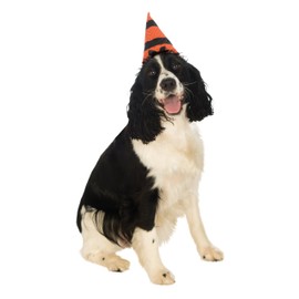 Rubie's Orange Black Witch Warlock Hat for Pet Dog