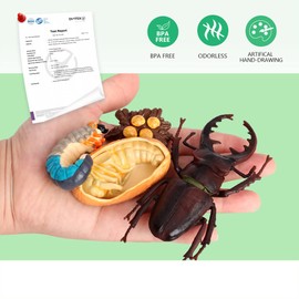 Volnau Animal Figurines Toys 17PCS Life Cycle Figure Set for Toddlers Kids Sea Turtle Frog Chicken Decorations Preschool Educational Prop