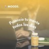 Kit Focus Nootropicos Melena Leon Bacopin L Glutamina Sabor Sin