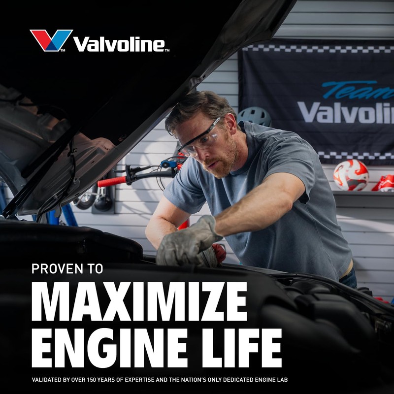 Valvoline Daily Protection SAE 50 Conventional Motor Oil 1 QT,