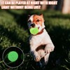 Pack of 8 Glow In The Dark Dog Balls, Squeaky