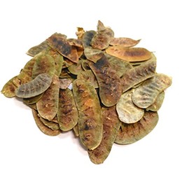 Senna Pods, (100g)