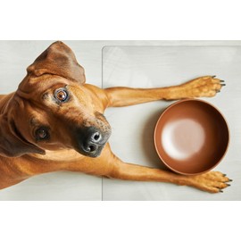 ExactMade - Clear Pet Bowl Mat, USA Made, Safe, Waterproof, 12 x 18 Inch, 2mm Thick Smooth Vinyl, Clear Cat Bowl Mat, Clear Pet Protection, Clear Dog Kennel Protect Floor, Best Floor Mats