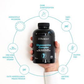 Zeniment Glucosamine Boswellia Quercetin Containing Chondroitin 365 Capsules / 제니먼트 글루코사민 보스웰리아 케르세틴 함유 콘드로이친 365캡슐