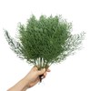 Artificial Pine Branches,Mini Leaves Decor Christmas Faux Greenery Stems,Small Artificial