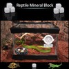 DQITJ 18 Pcs Small Reptile Calcium Stone Natural Calcium Mineral