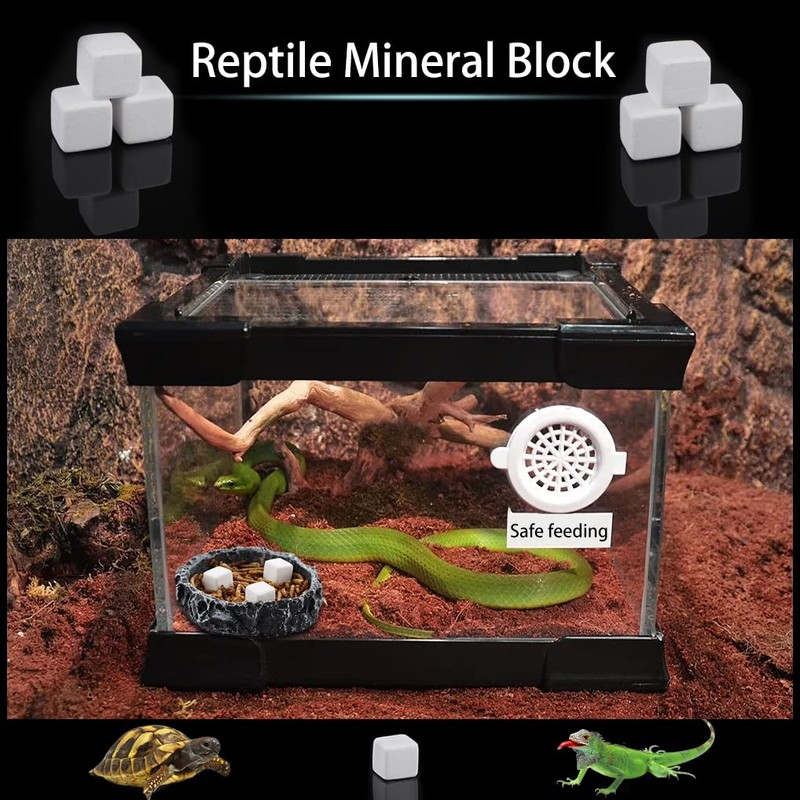 DQITJ 18 Pcs Small Reptile Calcium Stone Natural Calcium Mineral