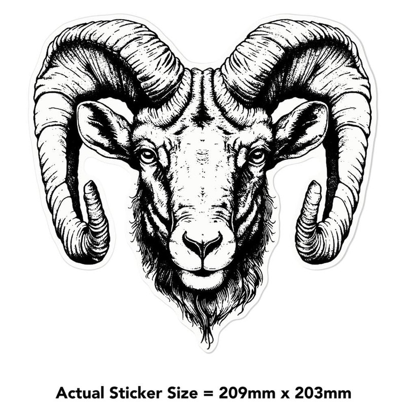 Medium 210mm 'Ram Head ' Clear Static Window Cling Sticker/Decal