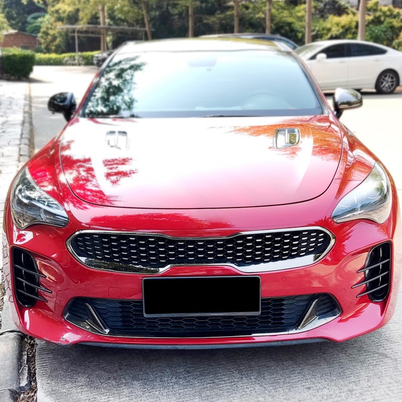 YOUTOOCAR 2PCS Front Fog Light Trim Covers Compatible with Kia