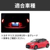 KONPON / LED License Plate Light, Custom Parts, Toyota Yaris