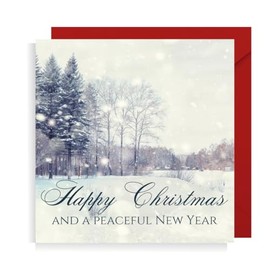 Second Ave Pack of 10 Happy Christmas Xmas Christian Religious Holiday Festive Greetings Cards