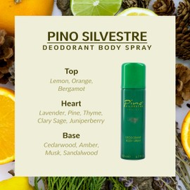 Amber Woods by Pino Silvestre - Perfume for Men - Aromatic, Woody, Spicy Scent - Blended with Lemon, Lavender, Patchouli, and Sandalwood - for Bold, Elegant Gentlemen - 4.2 oz EDT Spray