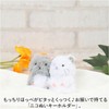 Nico Sew Key Chain Keychain T-Rex Triceratops