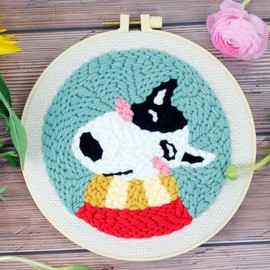 Punch Needle kit Embroidery Starter Kits with Embroidery Pen and Hoop, Punch Needle Tool Yarn for Kids Adults Beginner,Idea for Teacher/Parents/Friends (B)