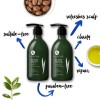 Juego de champú y acondicionador de aceite de árbol de