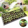 RooTrimmer 10 Pack 1020 Seed Starter Trays and 10 Pcs