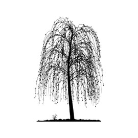 Newstamps Stamp Weeping Willow Motif Stamp Large Wooden & Rubber for Card Making, Wooden Stamp, Flowers, Plants, Floral, Meadow, Grasses, Scrapbook, Textile Stamp, Decoration, Children