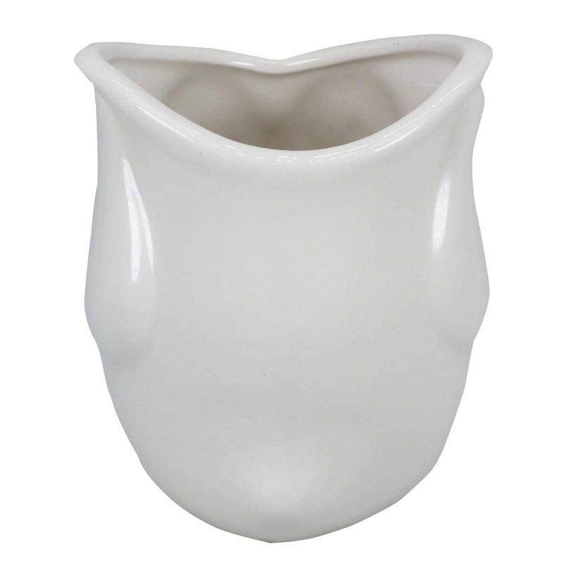 Ceramic Owl Succulent Planter Pot with Drainage Tray, Cute Animal