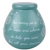 Dandelion Pots of Dreams Money Pot Save Up & Smash