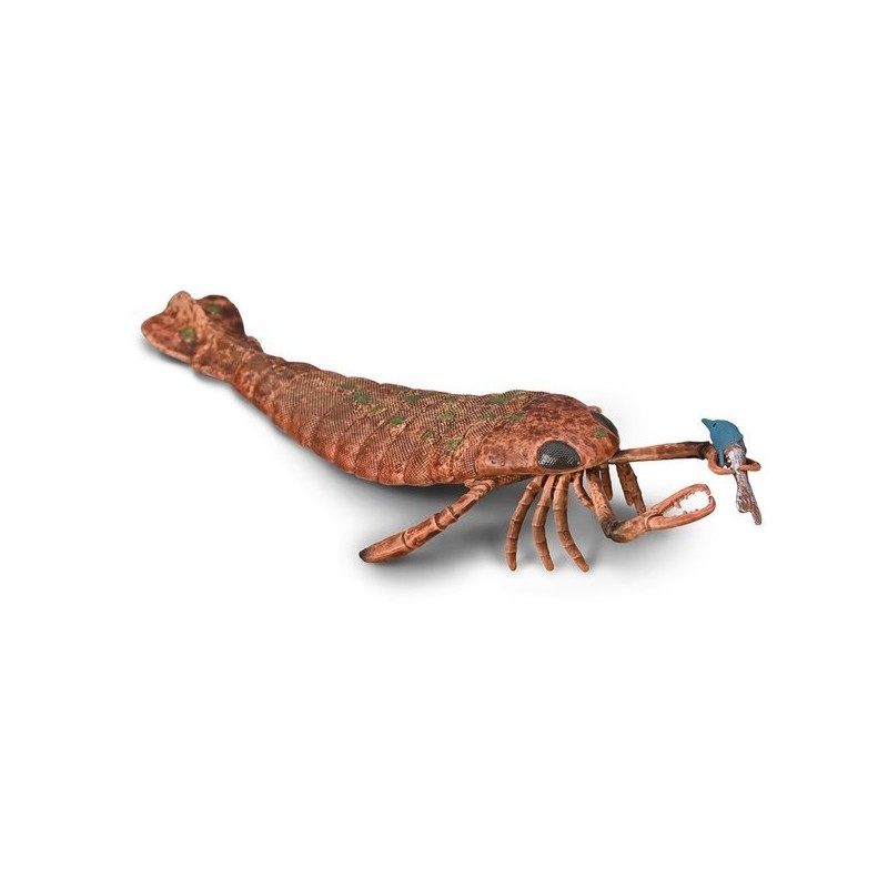 Collecta Jaikelopterus 1:20 Scale Dinosaur Figure / 컬렉타 야이켈롭테루스 1:20