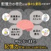 メモいらず 脳の栄養素 記憶力 物忘れ オールインワンサプリメント 【イチョウ葉 120mg/日】【ホスファチジルセリン 30mg/日】【DHA 105mg/日】【EPA 10mg/日】【フェルラ酸